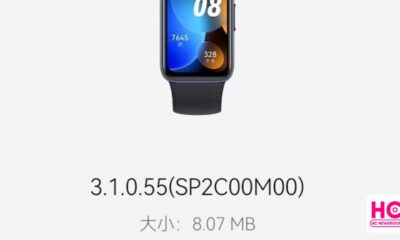 Huawei Band 8 first update